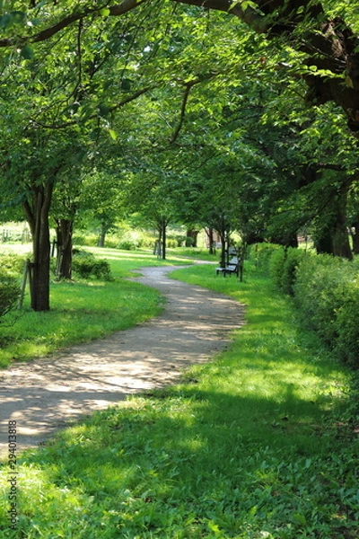 Fototapeta 公園