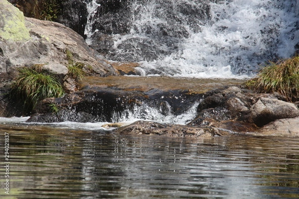 Obraz waterfall in forest