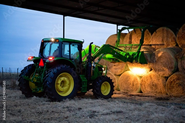 Obraz Tractor getting hay to feed cattle in winter
