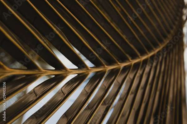 Fototapeta abstract background with lines