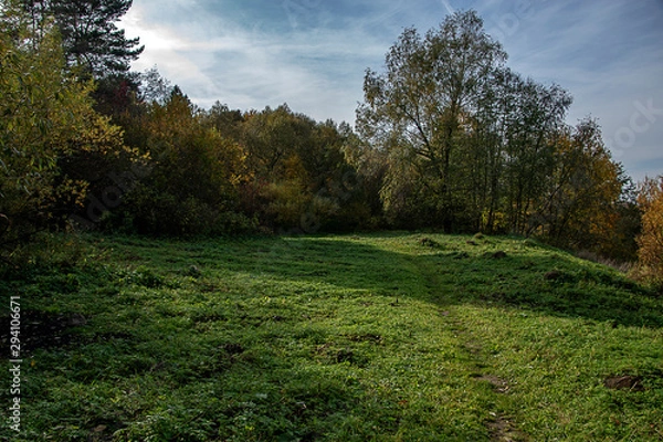 Obraz Meadow by the river.