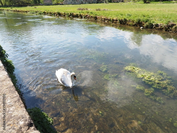 Obraz OLYMPUS DIGITAL CAMERA