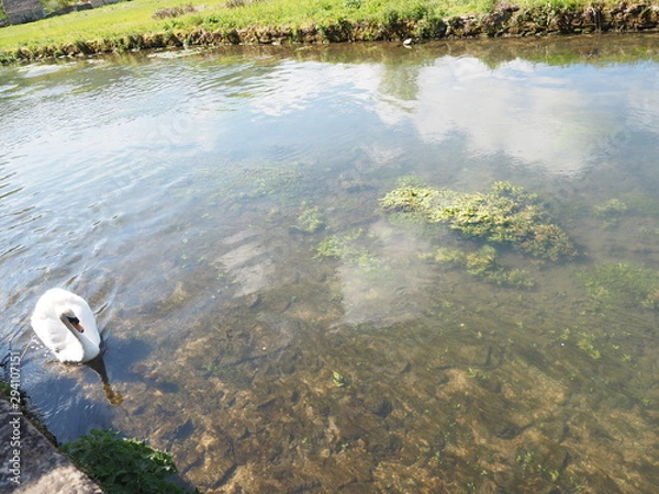 Obraz OLYMPUS DIGITAL CAMERA