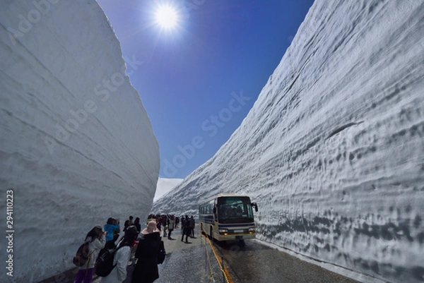 Fototapeta 富山県　立山　雪の大谷