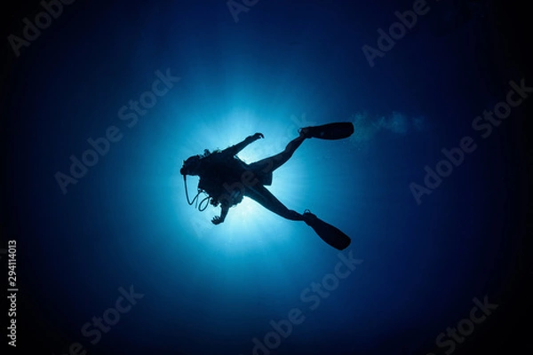 Obraz Backlit diver