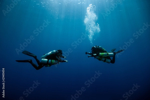 Obraz Divers