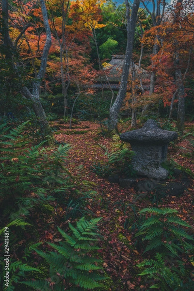 Fototapeta 京都 祇王寺の紅葉と秋景色