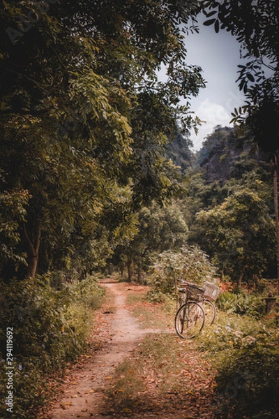 Fototapeta autumn in forest in Vietnam with two bikes