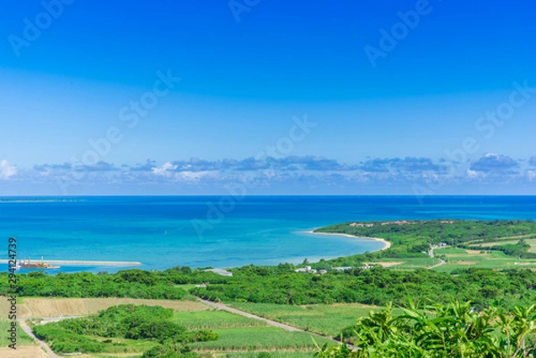 Obraz 小浜島の風景(大岳)