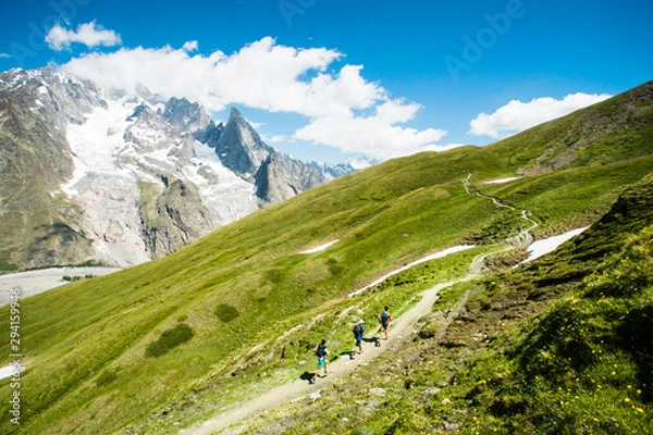 Fototapeta A group of trail runners running along the beautiful trails of the Alps under Mont Blanc. 