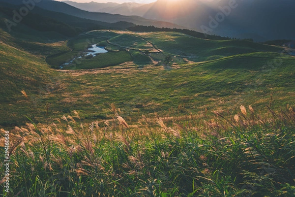 Fototapeta 奈良県　曽爾高原のススキと秋の夕景