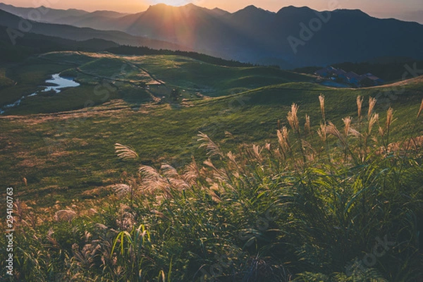 Fototapeta 奈良県　曽爾高原のススキと秋の夕景