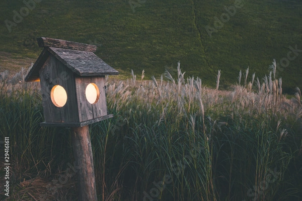 Fototapeta 奈良県　曽爾高原のススキと秋の夕景