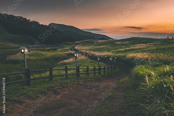 Fototapeta 奈良県　曽爾高原のススキと秋の夕景