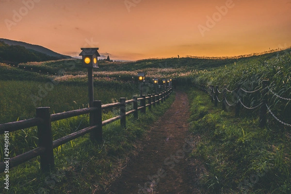 Fototapeta 奈良県　曽爾高原のススキと秋の夕景
