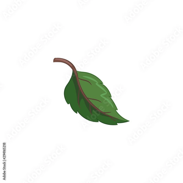 Fototapeta Leaf