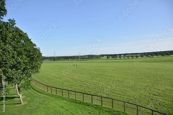 Obraz 大自然が広がる北の大地