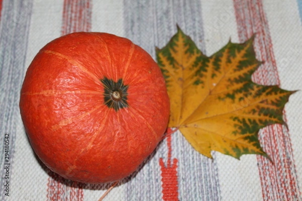 Fototapeta  pumpkin ripened