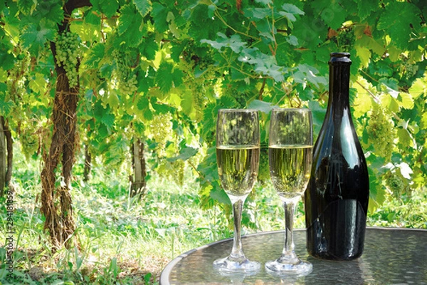 Obraz prosecco wine bottle and glasses on table in vineyard