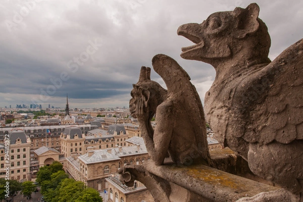 Obraz Paris skyline with gargoyle