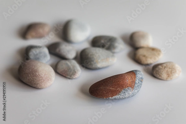Fototapeta The concept of exclusion from the group made using colored stones on a white background. A reference to racism and religious, sexual or ideological intolerance.