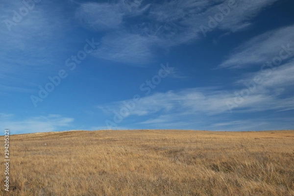 Fototapeta autumn steppe and blue sky with cloudy clouds