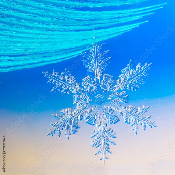 Obraz snowflakes on blue background