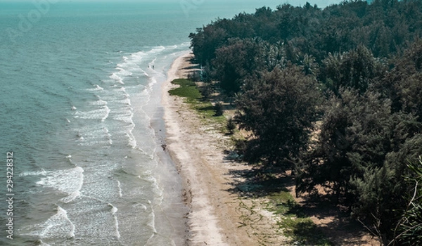 Fototapeta landscape beach and sea ocean with forest 