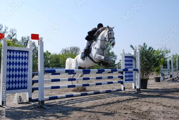 Obraz cavallo che salta ostacolo