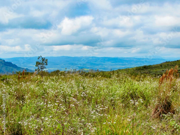 Fototapeta A view of a beautiful meadow in between the mountains on a park called Serra dos Alves in Brazil
