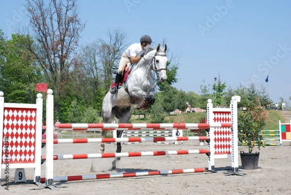 Obraz cavallo che salta ostacolo