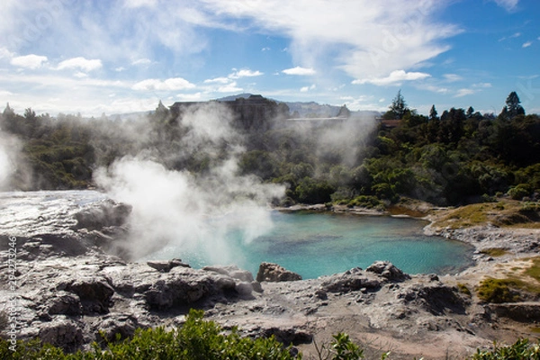 Fototapeta Geysir in Te Puia park in Rotorua, North Island
