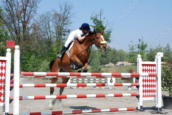 Obraz cavallo che salta ostacolo