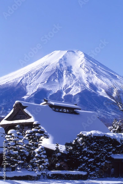 Obraz 忍野八海と富士山の雪景色