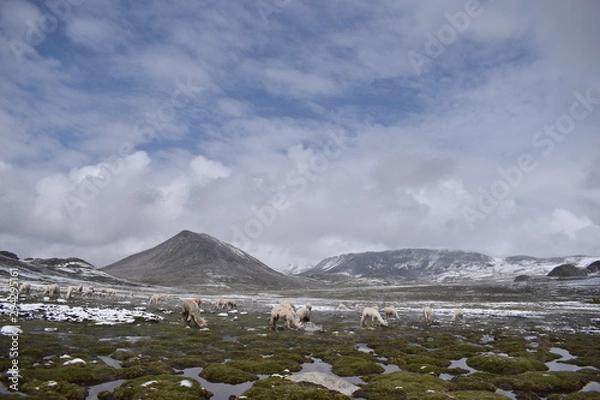 Fototapeta landscape with mountains and clouds