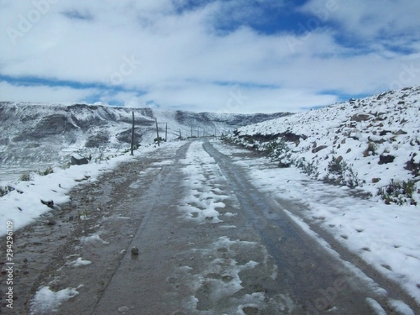 Fototapeta road in winter