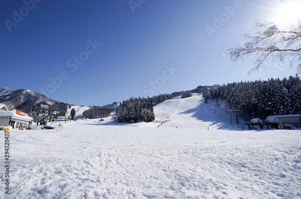 Obraz 湯沢パークスキー場、冬のゲレンデ