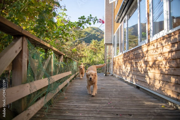 Fototapeta ペンション朝ねぼう