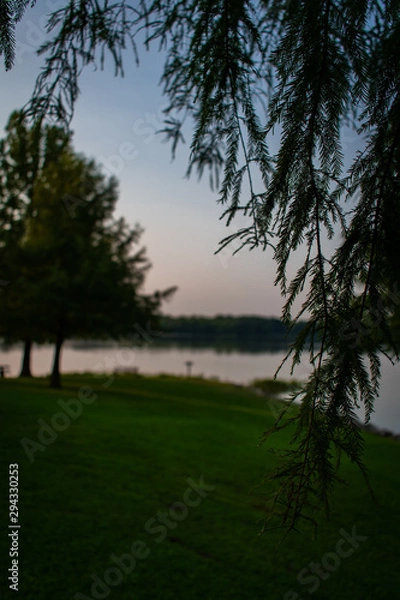 Obraz sunset in the park