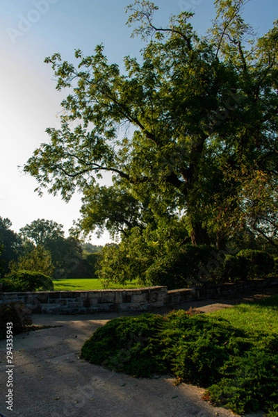 Obraz river in the park