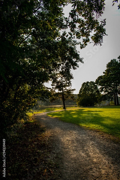 Obraz road in forest