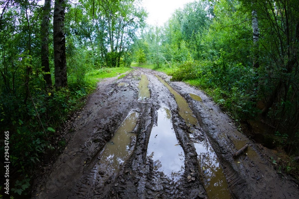 Obraz Dirty road in forest