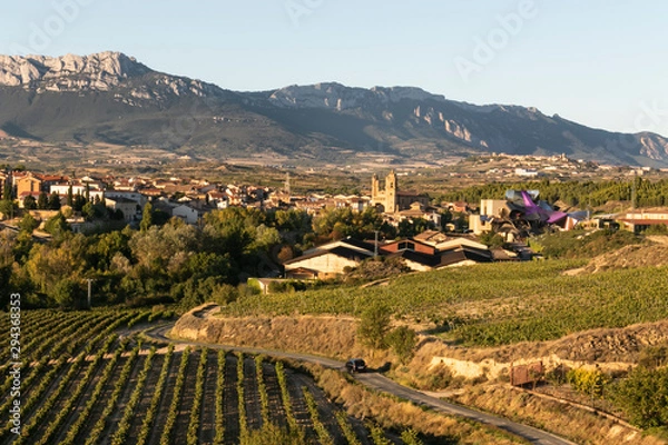 Obraz Viñedos en La Rioja