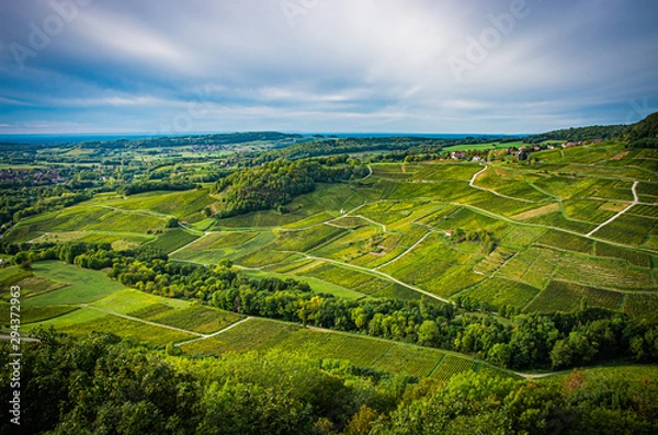 Fototapeta Château-Chalon 