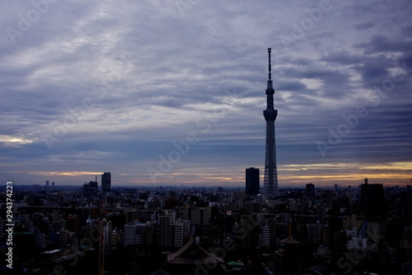 Obraz 東京の夜明け