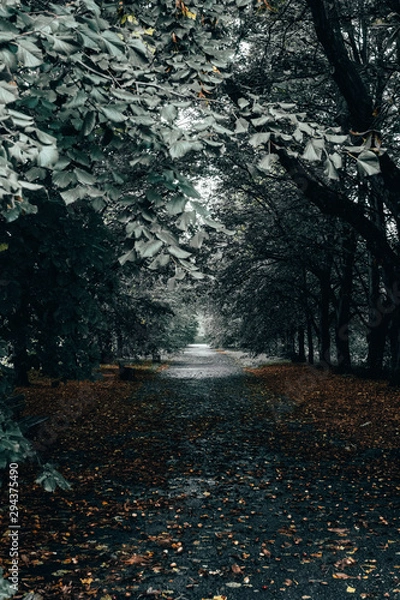 Fototapeta Dark road