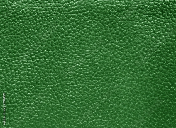 Obraz leder grün