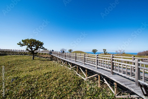 Fototapeta 秋の知床　知床五湖の高架木道（遊歩道）と原野（北海道・斜里町）