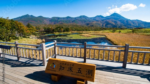 Obraz 秋の知床　知床五湖の１湖展望台と知床連山（北海道・斜里町）