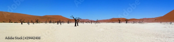 Fototapeta Dead vlei